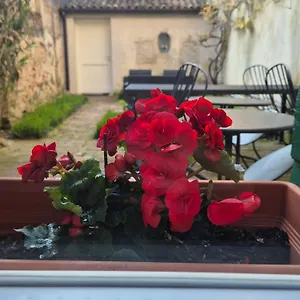 19 Borgo Cavour Nocleg ze śniadaniem Treviso
